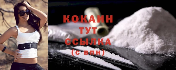 индика Белоозёрский