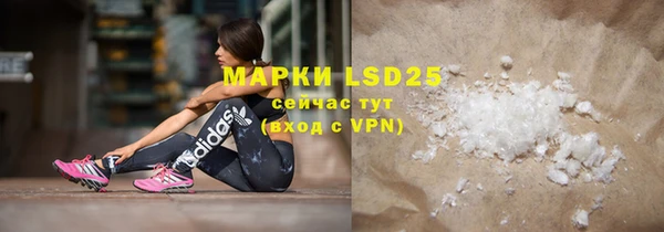 индика Белоозёрский