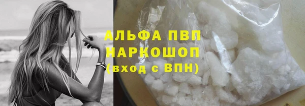круглые Белокуриха