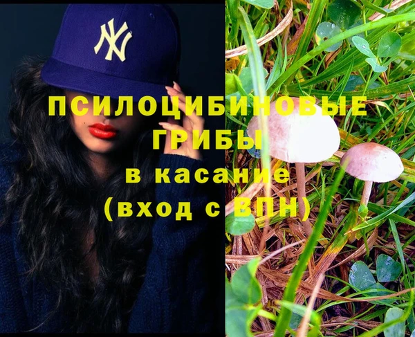 круглые Белокуриха