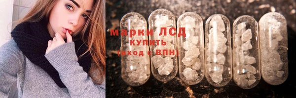 индика Белоозёрский